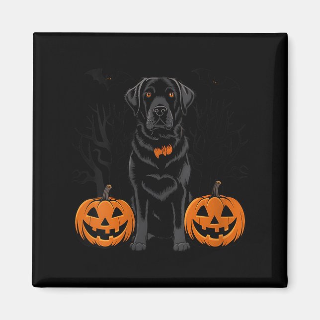 Imã Cachorro Retriever Labrador Preto de Halloween par (Frente)