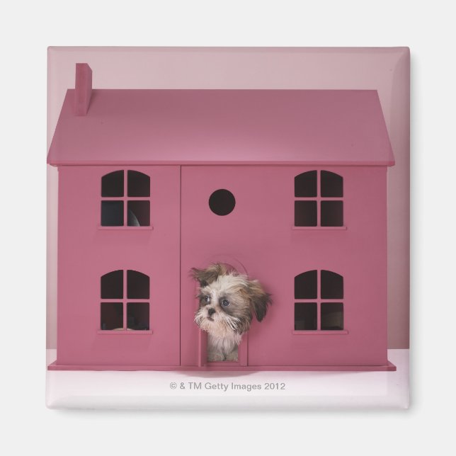 Imã Cachorro saindo da casa da boneca (Frente)