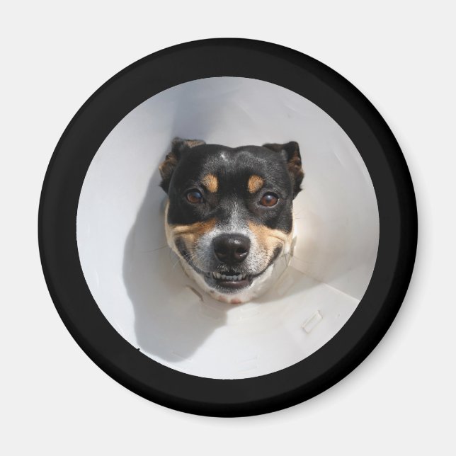 Imã Cachorro sorridente engraçado (Frente)