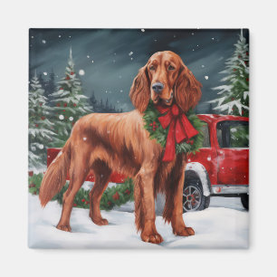 Imã Cachorro Vermelho Irlandês no Natal da Neve