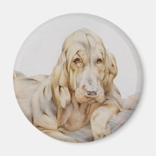 Imã Cachorros Cute Vintage, Cachorrinhos por EJ Detmol