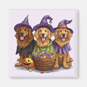Imã Cachorros de bruxas de Ouro de Halloween