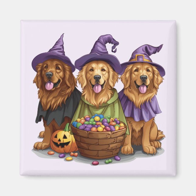 Imã Cachorros de bruxas de Ouro de Halloween (Frente)