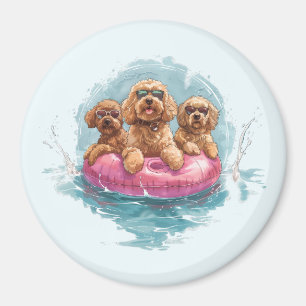 Imã Cachorros de Goldendoodle Piscina de Abacaxi de Ve