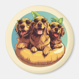 Imã Cachorros de ouro para varejo Piscinas de verão