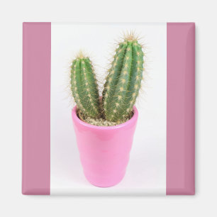 Imã Cacto de cereais em pote rosa