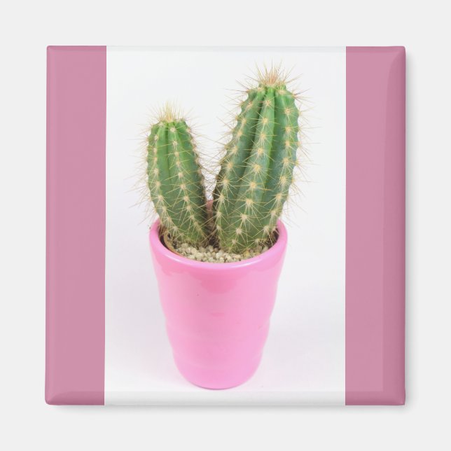 Imã Cacto de cereais em pote rosa (Frente)