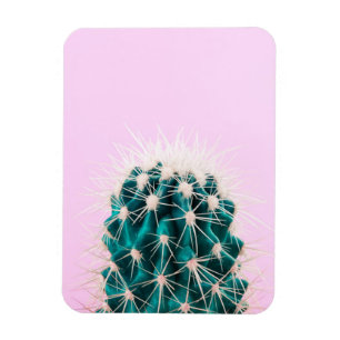 Ímã Cacto de Prickley no rosa