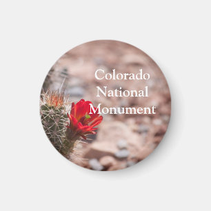 Imã Cacto do ponche Claret no monumento nacional de