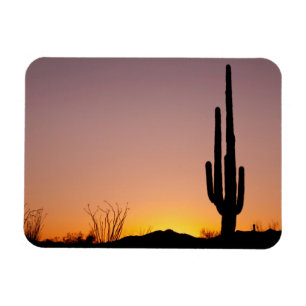 Ímã Cacto do Saguaro no por do sol