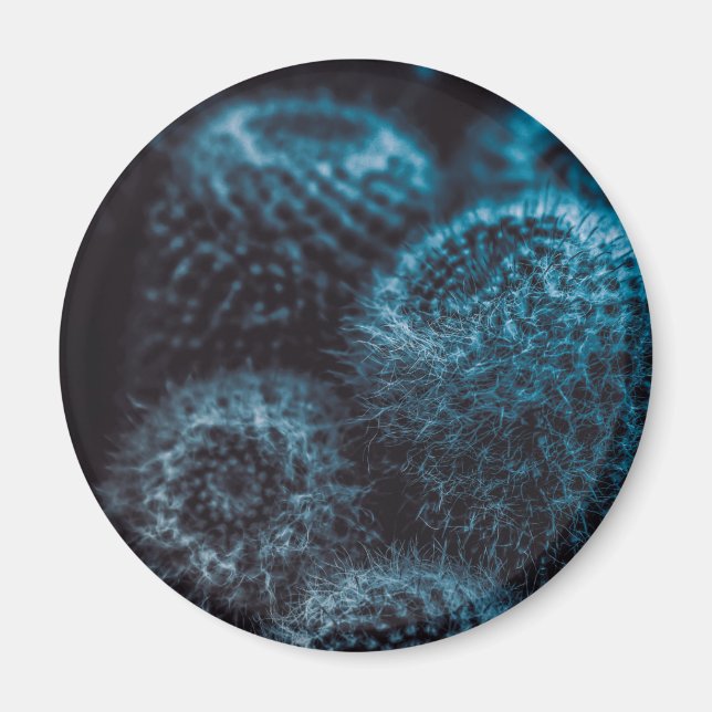 Imã Cacto Escuro (Frente)