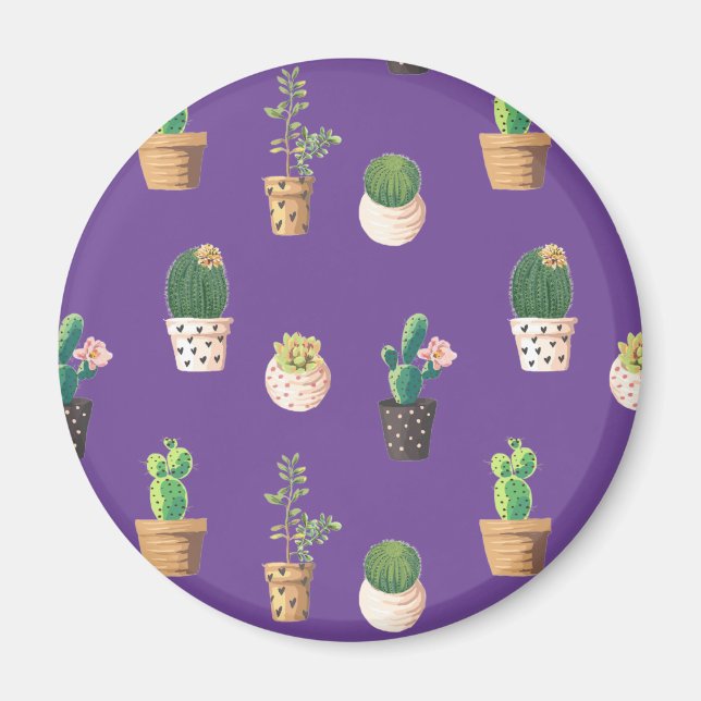 Imã Cacto Suculento do Deserto Verde em Potes (Frente)