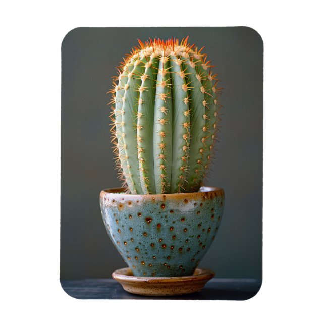 Ímã Cacto Verde em Pote Teal Cerâmico Fotografia (Vertical)