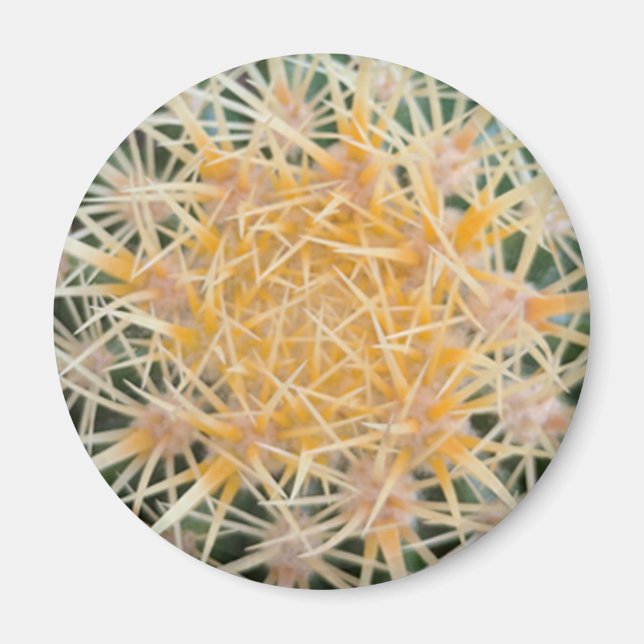 Imã Cactus (Frente)