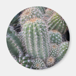 Imã Cactus