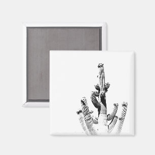 Imã Cactus Black White Photo Art, Diversão Única de Fl