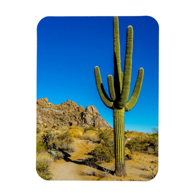 Ímã Cactus em pé (Vertical)
