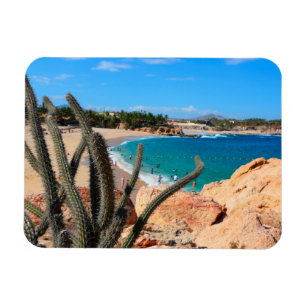 Ímã Cactus Em Rocky Hilltop Sobre Sandy Beach