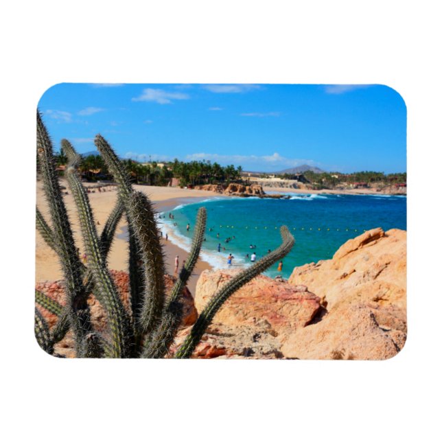 Ímã Cactus Em Rocky Hilltop Sobre Sandy Beach (Horizontal)