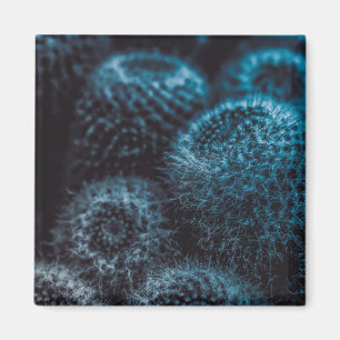 Imã Cactus Escuro