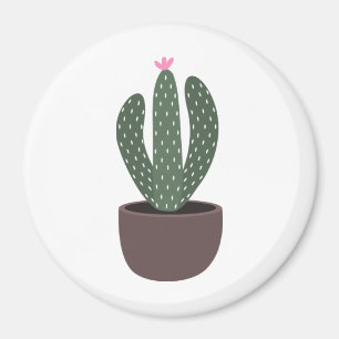 Imã Cactus no pote