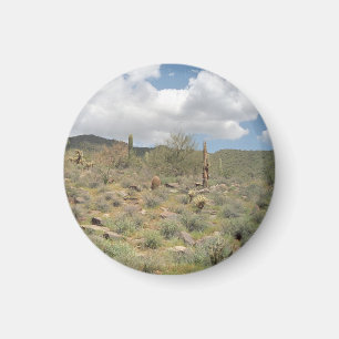 Imã Cactus Pastoral Decorative Refrigerator Magnet