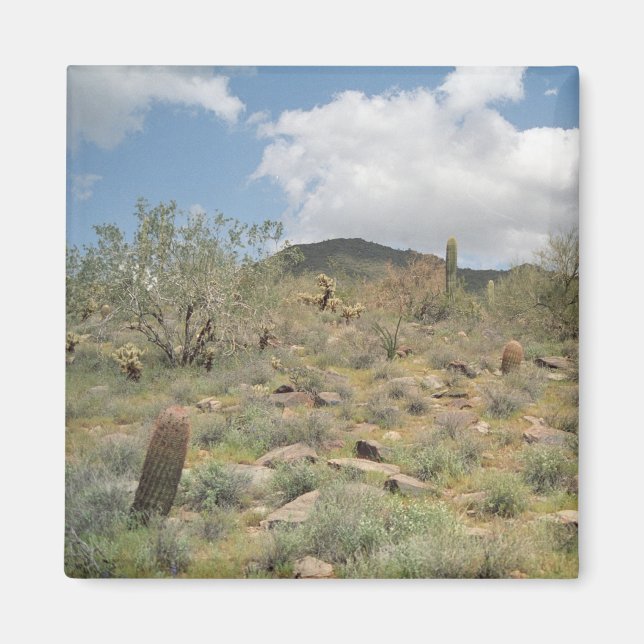 Imã Cactus Pastoral Decorative Refrigerator Magnet (Frente)
