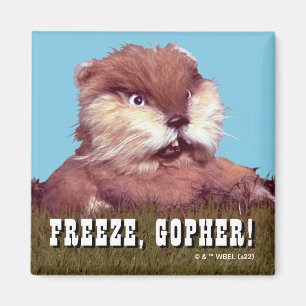 Imã Caddyshack   Congelar, Gopher!