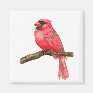 Imã Cadeado de aves cardinhas