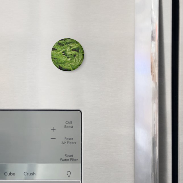 Imã Caderno de Manjericão (In Situ (Fridge))
