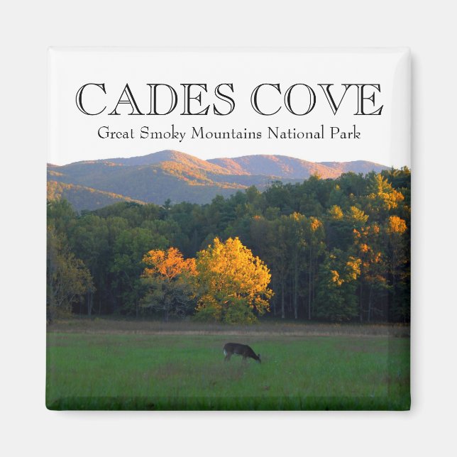 Imã Cades de animais selvagens do outono cobrem mtns d (Frente)