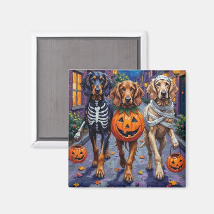 Imã Cães Afghan Hound fazendo Trick-or-Treat no Hallow