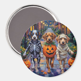 Imã Cães Azawakh em fantasias de Halloween