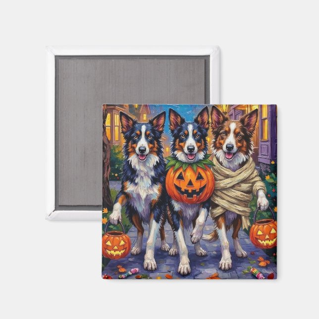 Imã Cães Collie de Borda Trick-or-Tratando no Hallowee (Front/Back)