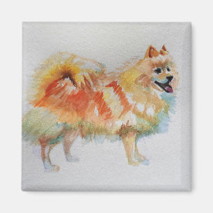 Imã Cães de Cães com Aquarela Alemã Spitz Pomerâni