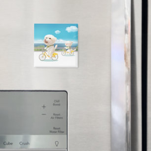 Imã Cães e Gatos a Biquear pelo Mar