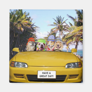 Imã Cães engraçados customizáveis no Convertible