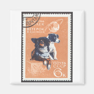 Imã Cães espaciais russos 1966 Cosmos 110