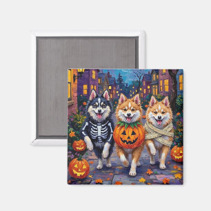 Imã Cães Esquimós Americanos no Halloween