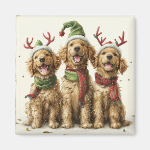 Imã Cães Golden Retriever de Natal
