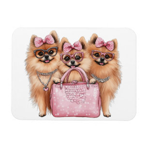 Ímã Cães Pomeranianos Fashionáveis, Bolsa Rosa