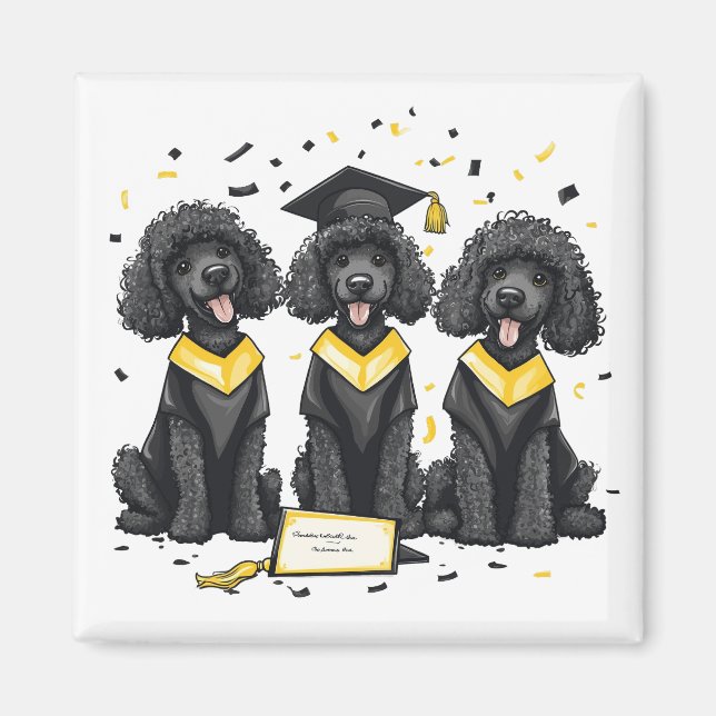 Imã Cães Poodle Padrão De Graduação (Frente)