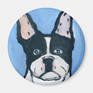 Imã cães por eric ginsburg