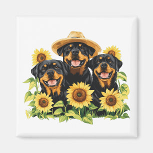 Imã Cães Rottweiler Cercados Por Girassóis