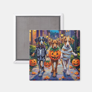 Imã Cães Silken Windhound em Fantasias de Halloween