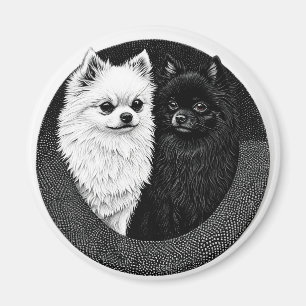 Imã cães spitz japoneses