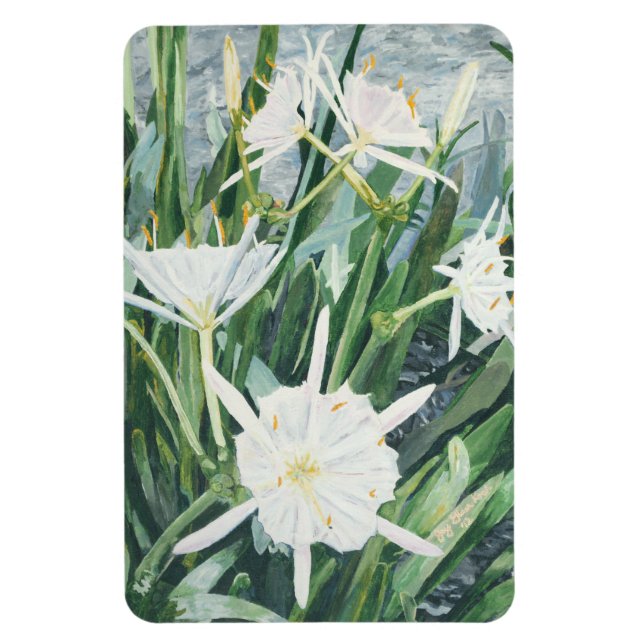 Ímã Cahaba Lily Magnet (Vertical)