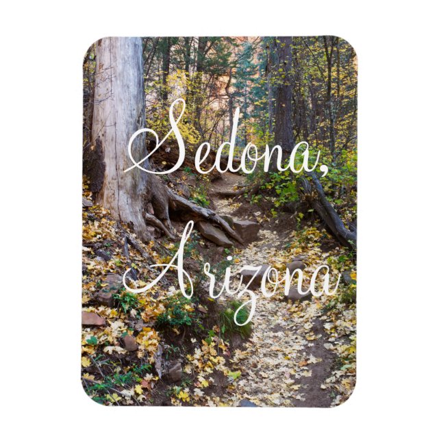 Ímã Cai na pista do West Fork em Sedona, Arizona (Vertical)