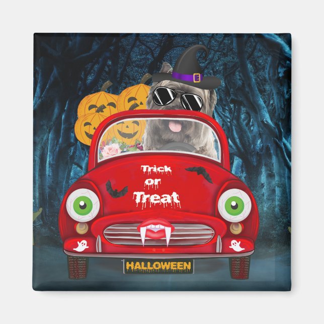 Imã Cairn Terrier Dirigindo Carro Assustador Halloween (Frente)