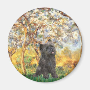 Imã Cairn Terrier (Listrado 21) - Primavera